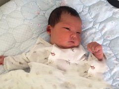 ���ӹ��Ĥ�¼��������Ӱ����к�