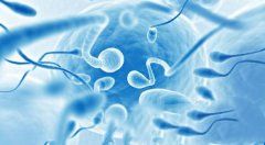 ��ΰ�����̥˳���Ŵ�